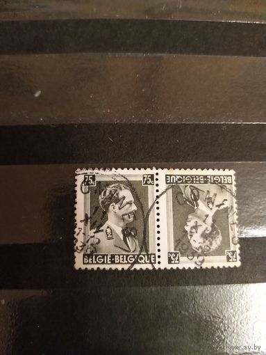 1938 Бельгия мих 481 тет-беш король Леопольд 3 (1-8)