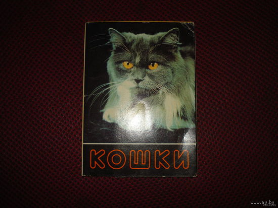 Набор открыток "Кошки"