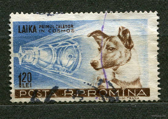 Космос. Собака Лайка. 1957
