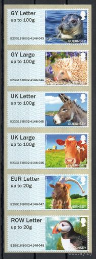 Автоматные марки Фауна Гернси Великобритания 2016 год серия из 6 марок