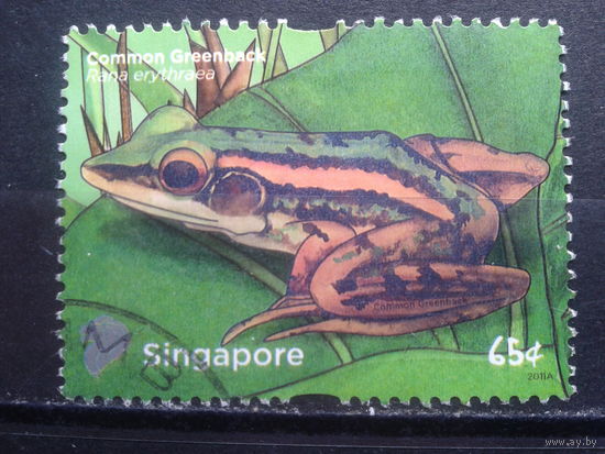 Сингапур, 2011. Красноухая лягушка