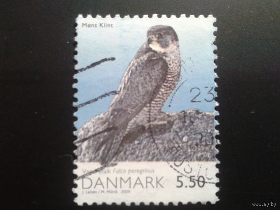 Дания 2009 птица