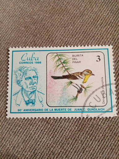 Куба 1986. Птицы. Dendroica pilyophila
