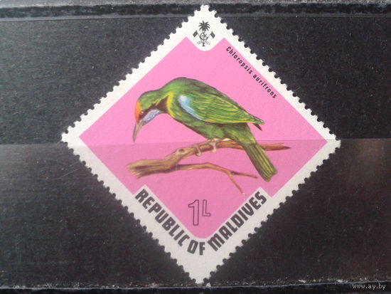 Мальдивы 1973 Птица**