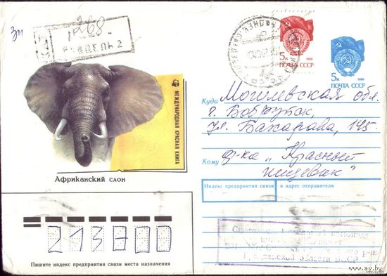 1990 год ХМК А.Исаков Африканский слон 3
