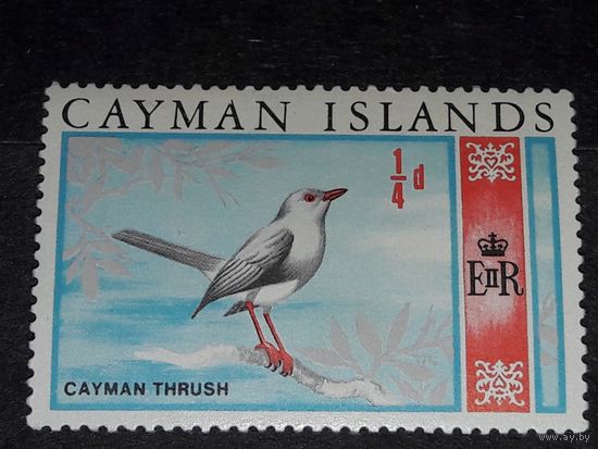 Каймановы острова 1969  Фауна Дрозд  чистая марка