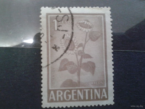 Аргентина 1961 Подсолнух