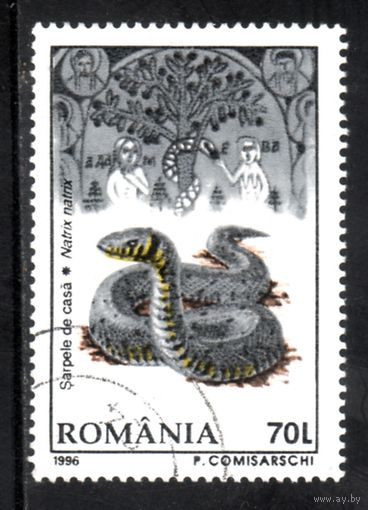 Румыния.Ми-5208. Европейская травяная змея (Natrix natrix). 1996.