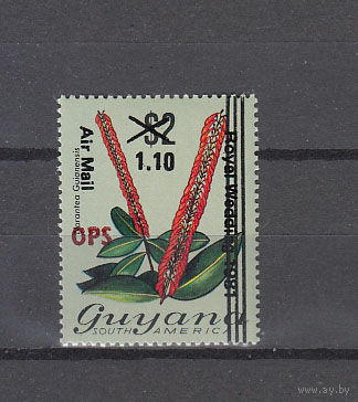 Королевская свадьба. Флора. Орхидеи. Гайана. 1982. 1 марка с надпечаткой и переоценкой. Michel N А32 (25,0 е)
