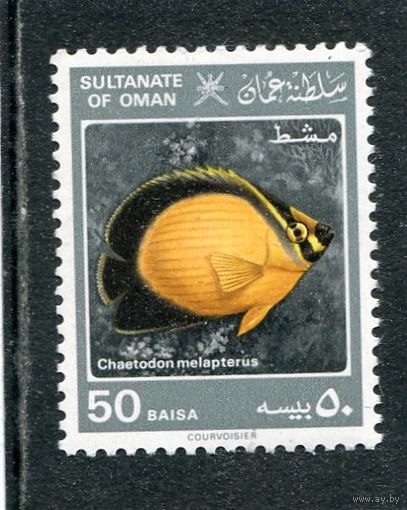 Оман. Морская фауна