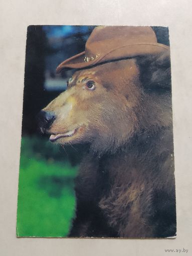 Карманный календарик. Медведь. 1997 год