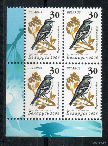 Девятый стандартный выпуск "Птицы сада" Беларусь 2006 год (650) 1 марка в квартблоке (мелованная бумага)