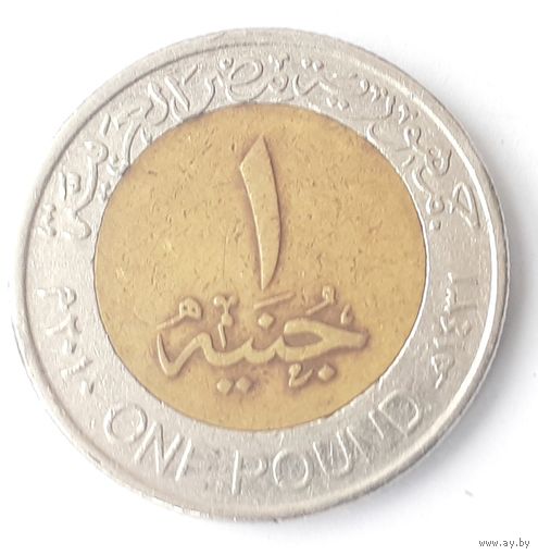 Египет 1 фунт, 2010 (2-10-138)