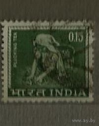 Индия 1976 Сбор чая