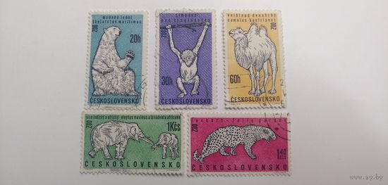 Чехословакия 1962.  Животные пражских зоопарков