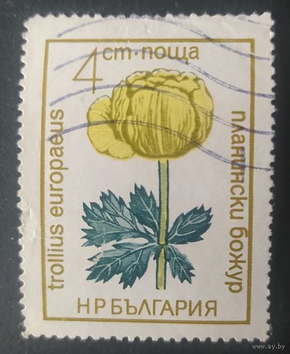 Болгария 1972 Цветы 1 из 7