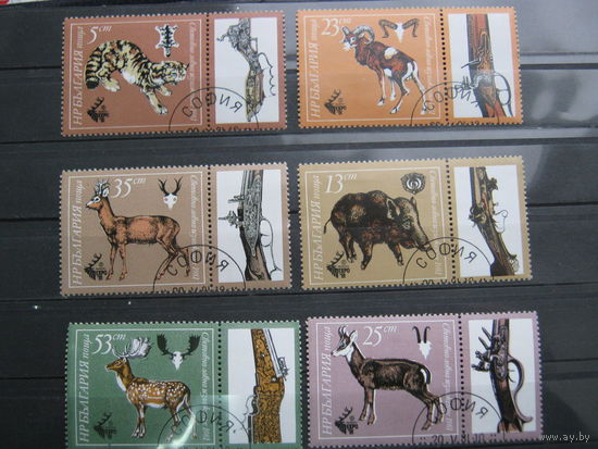 Марки - фауна, Болгария, кабан, олень ,косуля, рысь, дикие кошки, охота, оружие, 6 марок с купонами