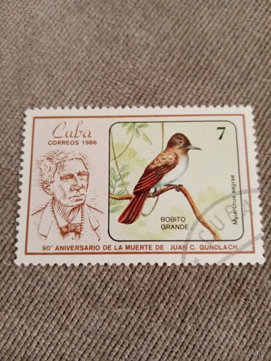 Куба 1986. Птицы. Myiarchus sagrae