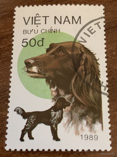 Вьетнам 1989. Породы охотничьих собак. Марка из серии