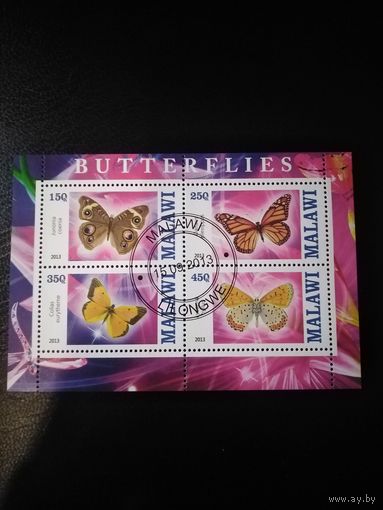 Малави. 2013г. Бабочки.