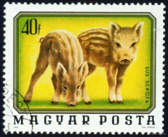 Дикие животные Венгрия 1976 год 1 марка