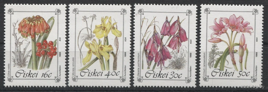 Сискей (ЮАР) 1988 год. Флора. Исчезающие и охраняемые виды растений. Цветы. **