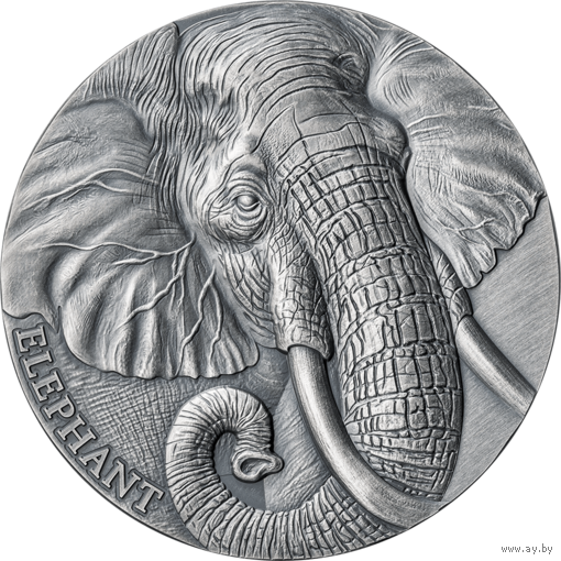 Камерун 2000 франков 2023г. "Слон". Монета в капсуле; деревянном подарочном футляре; сертификат; коробка. СЕРЕБРО 62,20гр.(2 oz).