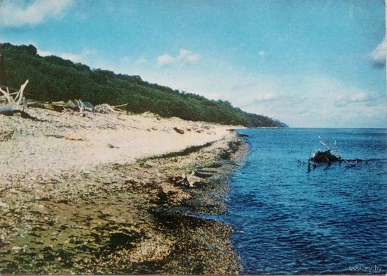 Открытка Эстонская ССР-Тойлаский пляж 1977г.