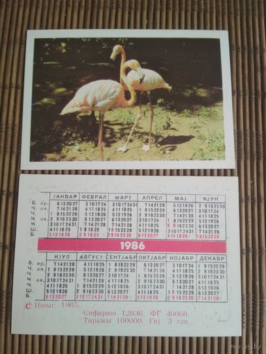 Карманный календарик. Фламинго .1986 год
