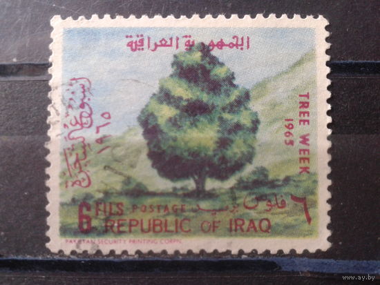 Ирак 1965 Охрана деревьев