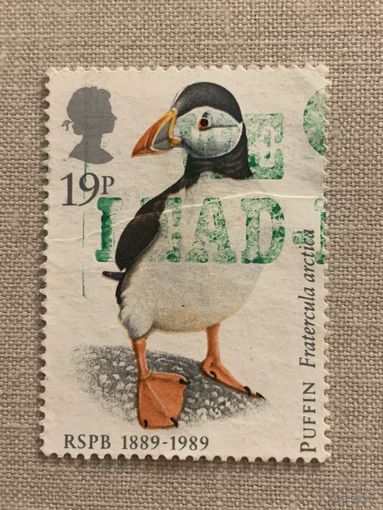 Великобритания 1989. Фауна. Птицы. Fratercula arctica