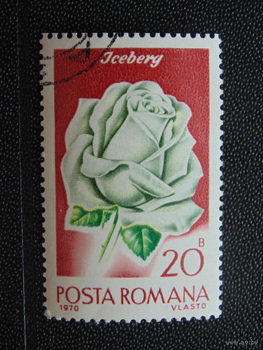 Румыния 1970 г. Цветы.