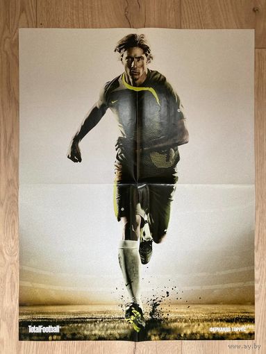 Постер футбол_ Торрес / Снайдер