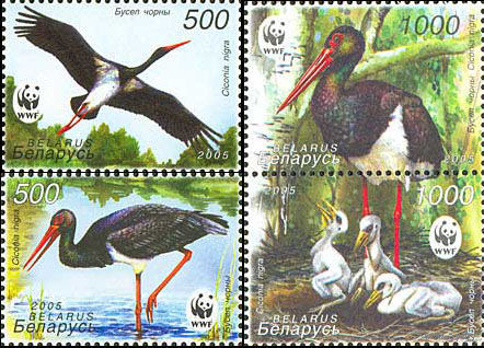 Беларусь 2005   WWF. Черный аист