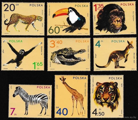 Животные из зоопарка 1972 г. Фауна Польша тигр птицы рептилии хищники гепард обезьяны MNH  Mi.#2162 - 2170**