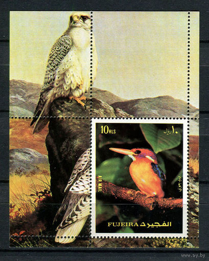 Фуджейра - 1972 - Птицы - [Mi. bl. 138] - 1 блок. MNH.