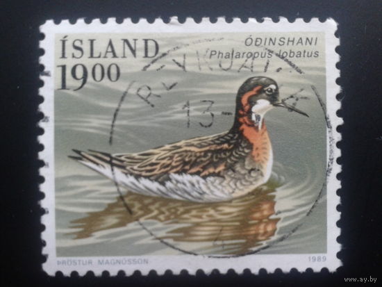 Исландия 1989 птица