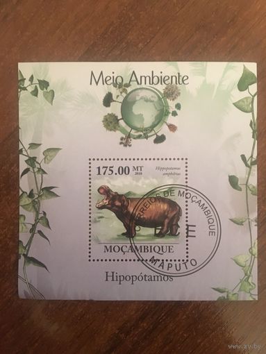 Мозамбик 2010. Гипопотамы (блок)