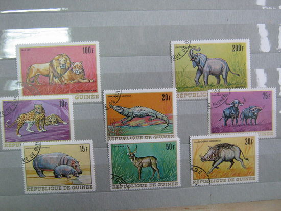 Марки - фауна, Гвинея, лев, слон, крокодил, кабан, бегемот, буйвол, антилопа, леопард