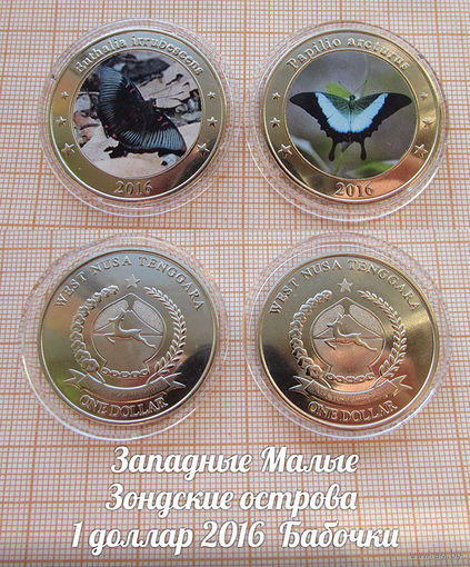 Индонезия Западные Малые Зондские острова 1 доллар 2016 Бабочки в капсулах