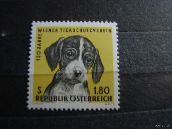 Австрия 1966 Фауна Животные Собаки 120 лет Венскому обществу защиты животных сер1мар** (ККАЛ