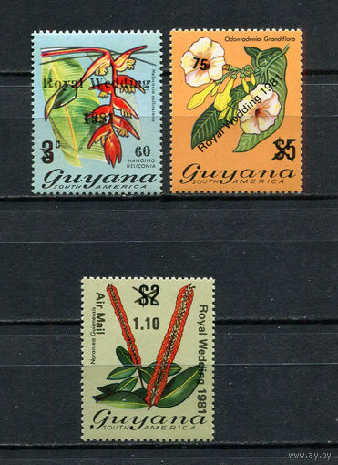 Гайана - 1981 - Свадьба принца Чарльза и Дианы Спенсер. Надпечатки - [Mi. 677I-679] - полная серия - 3 марки. MNH.  (LOT EF1)-T10P1
