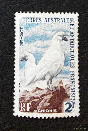 ТААФ Французские территории 1960 г. Птицы. Антарктическая Фауна,  1 марка. Чистая #0073-Ч1P9