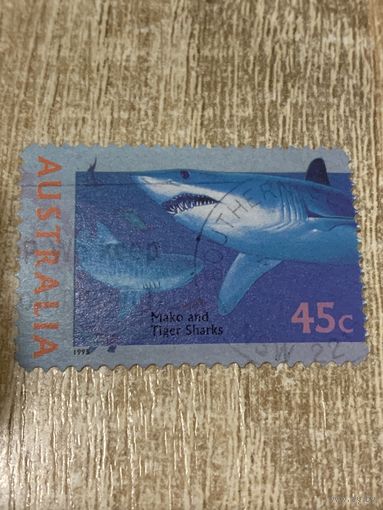 Австралия 1995. Рыбы. Тигровая акула. Марка из серии