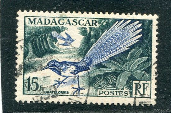 Мадагаскар. Французская колония. Длиннохвостая земляная ракша