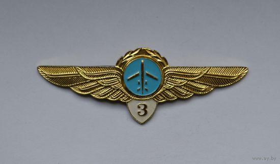 Классность пилот 3-го класса. Гражданская авиация СССР.