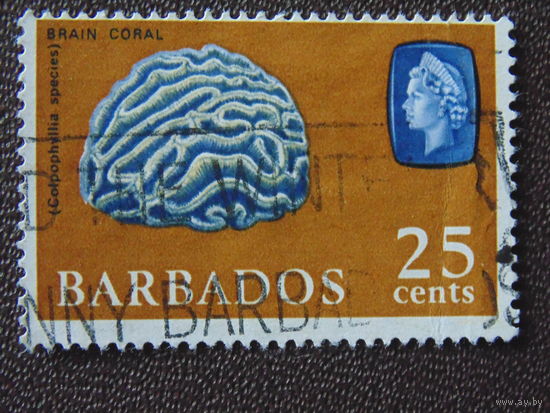 Барбадос 1965 г . Морская фауна.