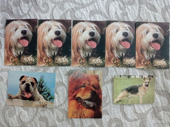 Календарик СССР, 1991,1993. Собака, календарики с собаками