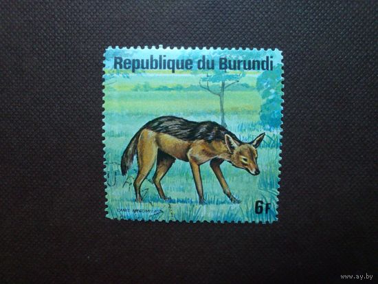 Бурунди 1975 г.Чепрачный шакал .