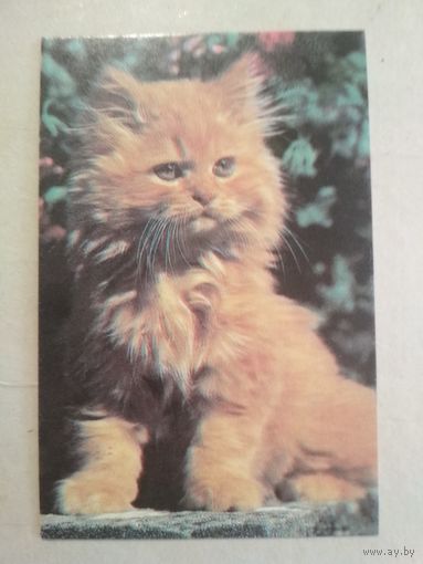 Карманный календарик. Кошки . 1996 год